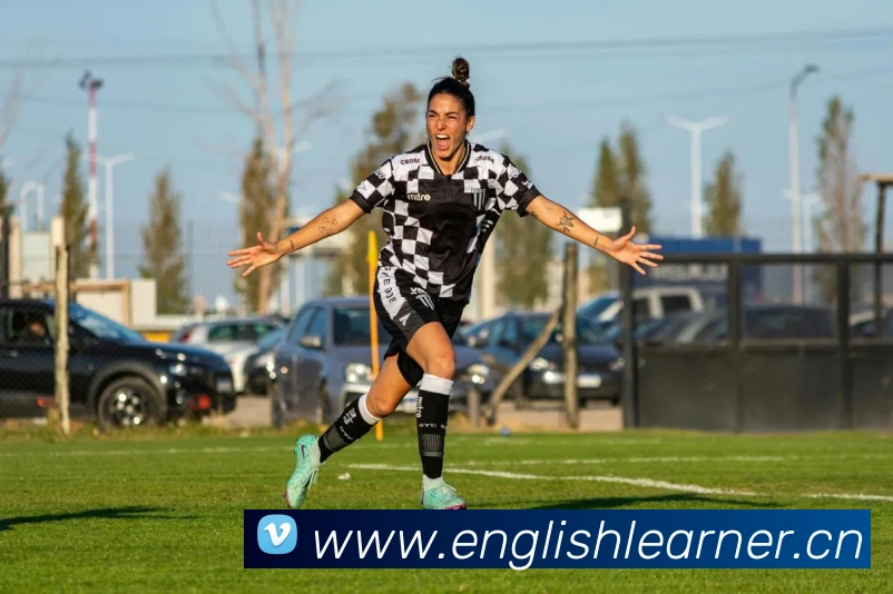 华亿在线体育官网平台生态图